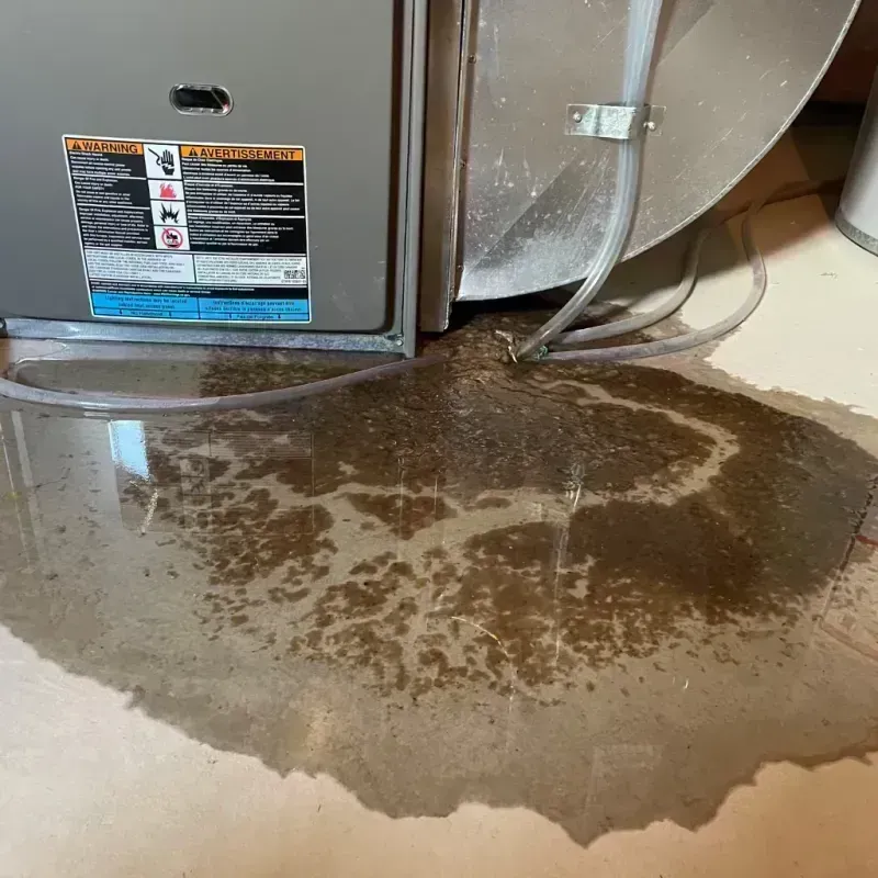 Appliance Leak Cleanup in Leesburg, AL